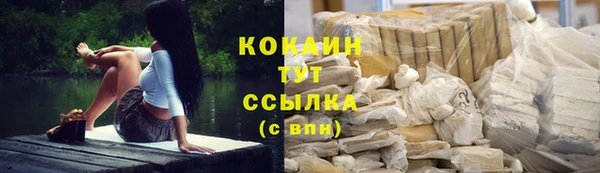 индика Баксан