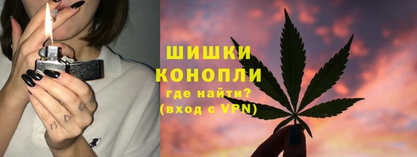 гидра Новодвинск