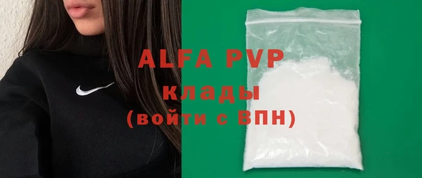 индика Баксан