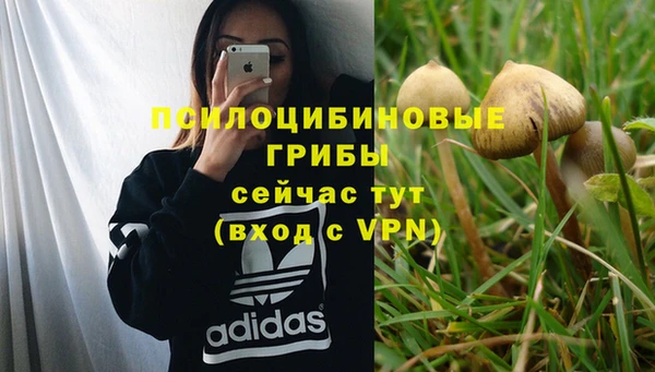 индика Баксан