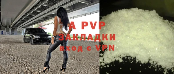 индика Баксан