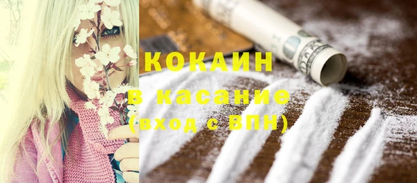 гидра Новодвинск