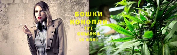 гидра Новодвинск