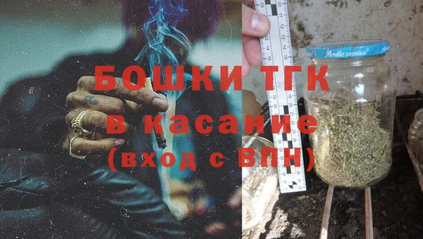 твердый Новозыбков