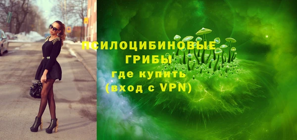 твердый Новозыбков