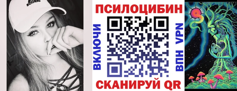 магазин продажи наркотиков Шали Псилоцибиновые грибы ЛСД